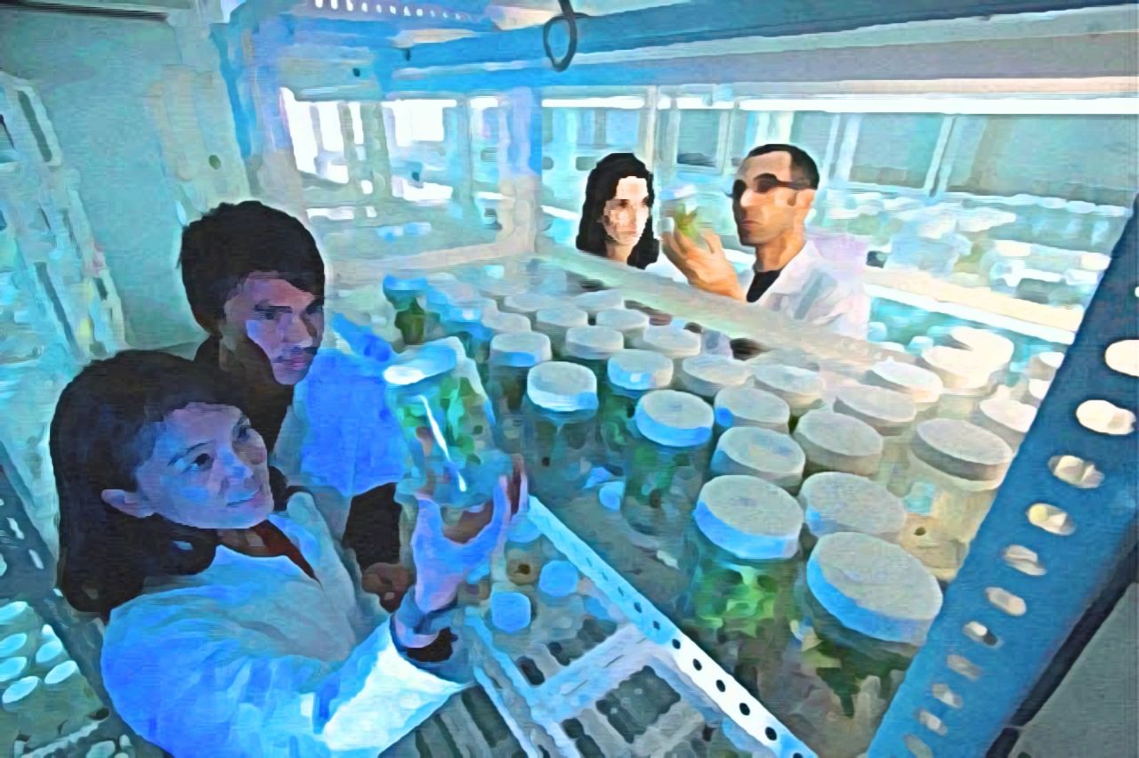 Científicos en un laboratorio